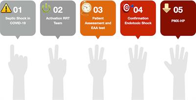 Endotoxin removal therapy with Polymyxin B immobilized fiber column as a COVID-19-bedside strategy protocol for endotoxic shock